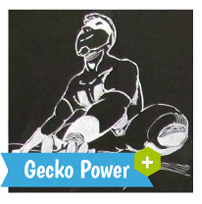GeckoPower